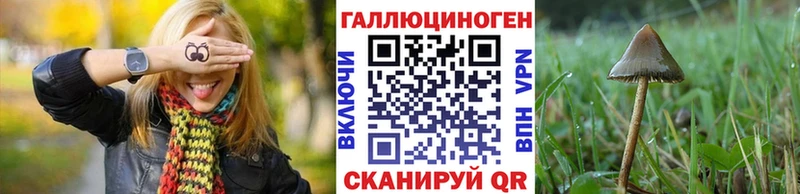 мега вход  Кемь  Псилоцибиновые грибы Cubensis 